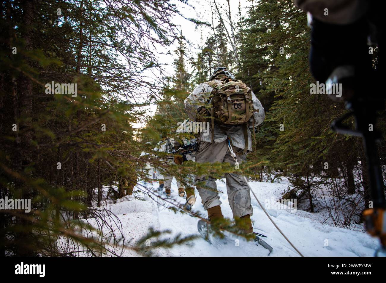 U.S. Soldiers, assigned to 1st Battalion, 5th Infantry Regiment, 1st Infantry Brigade Combat Team, 11th Airborne Division, carry equipment through a forest during Joint Pacific Multinational Readiness Center 24-02 at Donnelly Training Area, Alaska, Feb. 17, 2024. JPMRC 24-02 is held in the coldest part of the Alaskan winter, exposing roughly 10,000 joint, multi-national service members to unforgiving conditions, transferring the division’s expertise in the Arctic in support of the Army, the DoD and the Nation’s Arctic and Defense Strategies.  Army Stock Photo