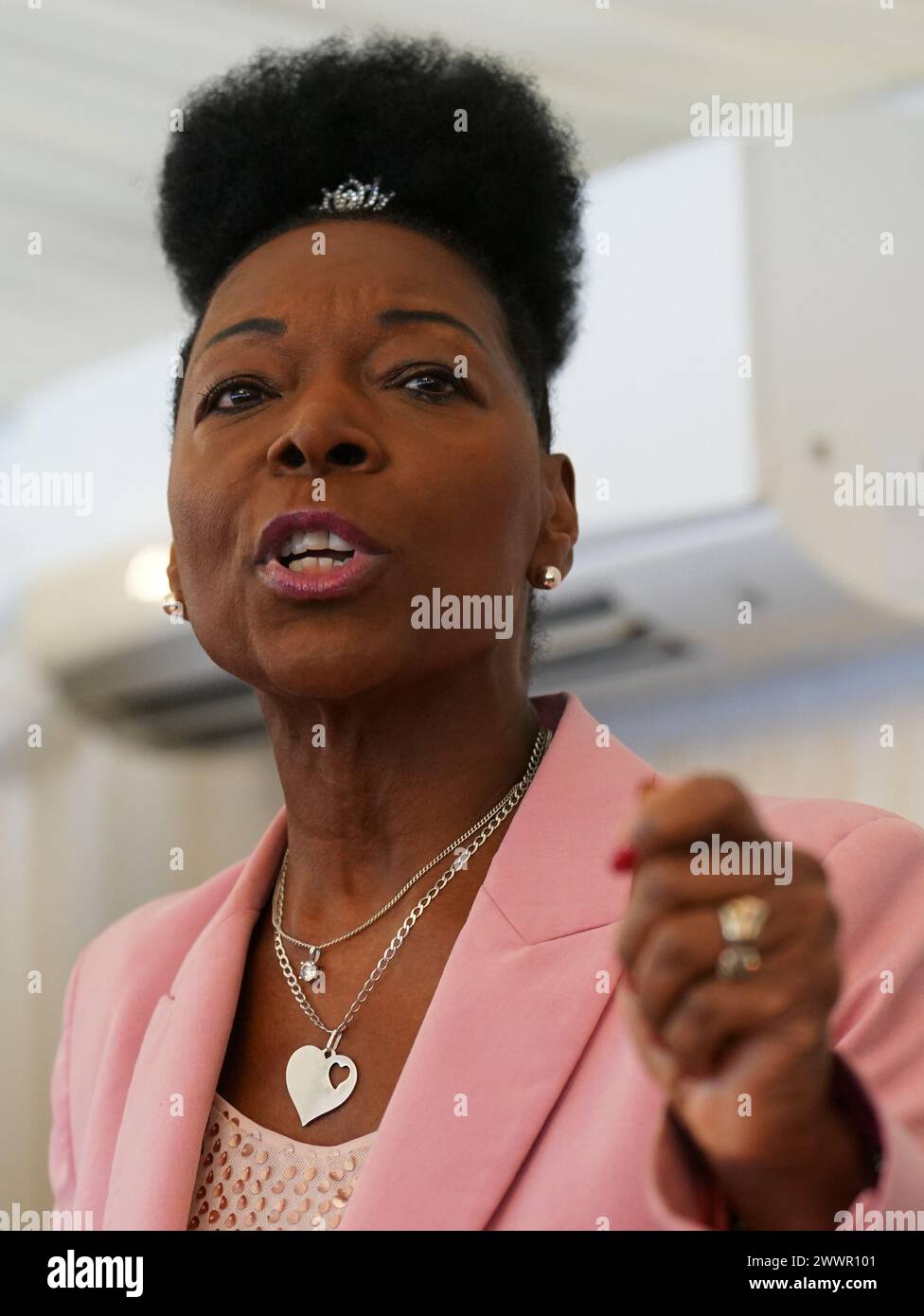 Baroness Floella Benjamin speaking the launch of the Big Ambition survey, at the Terrace Pavilion, House Of Commons, London. Picture date: Monday March 25, 2024. Stock Photo