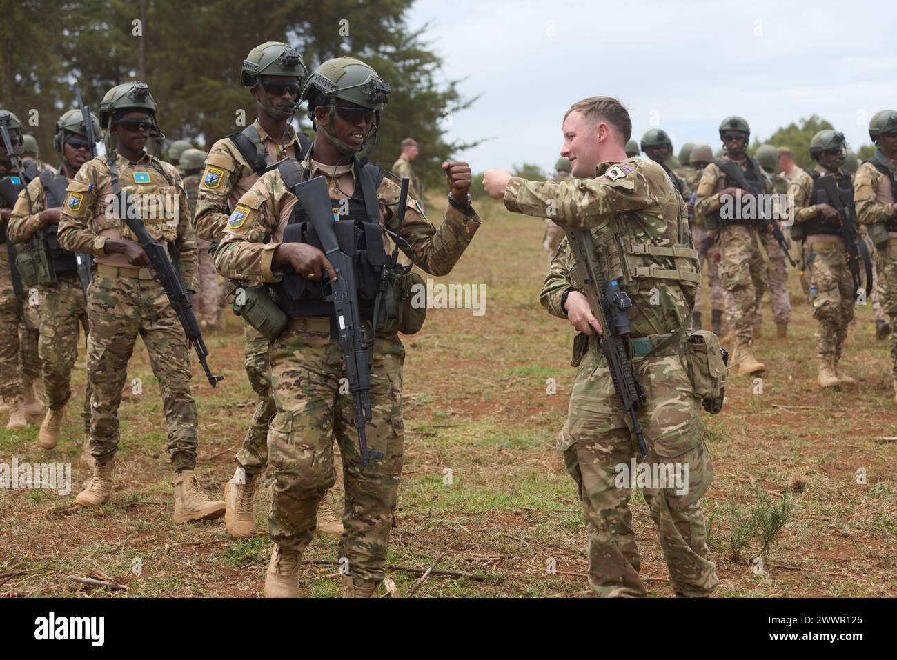 A British Army soldier from the 1st Battalion Irish Guards, 11th Security Forces Brigade, congratulates a member of the Somali Danab on the successful execution of an urban operations task during Justified Accord 2024 (JA24), held at the Counter Insurgency Terrorism and Stability Operations Training Centre in Nanyuki, Kenya February 26, 2024. JA24 is U.S. Africa Command's largest exercise in East Africa, running from February 26 - March 7. Led by U.S. Army Southern European Task Force, Africa (SETAF-AF), and hosted in Kenya, this year's exercise will incorporate personnel and units from 23 nat Stock Photo