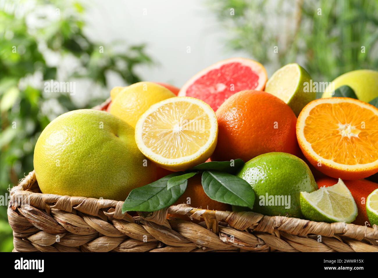 Citrus fruits in the basket hi-res stock photography and images - Alamy
