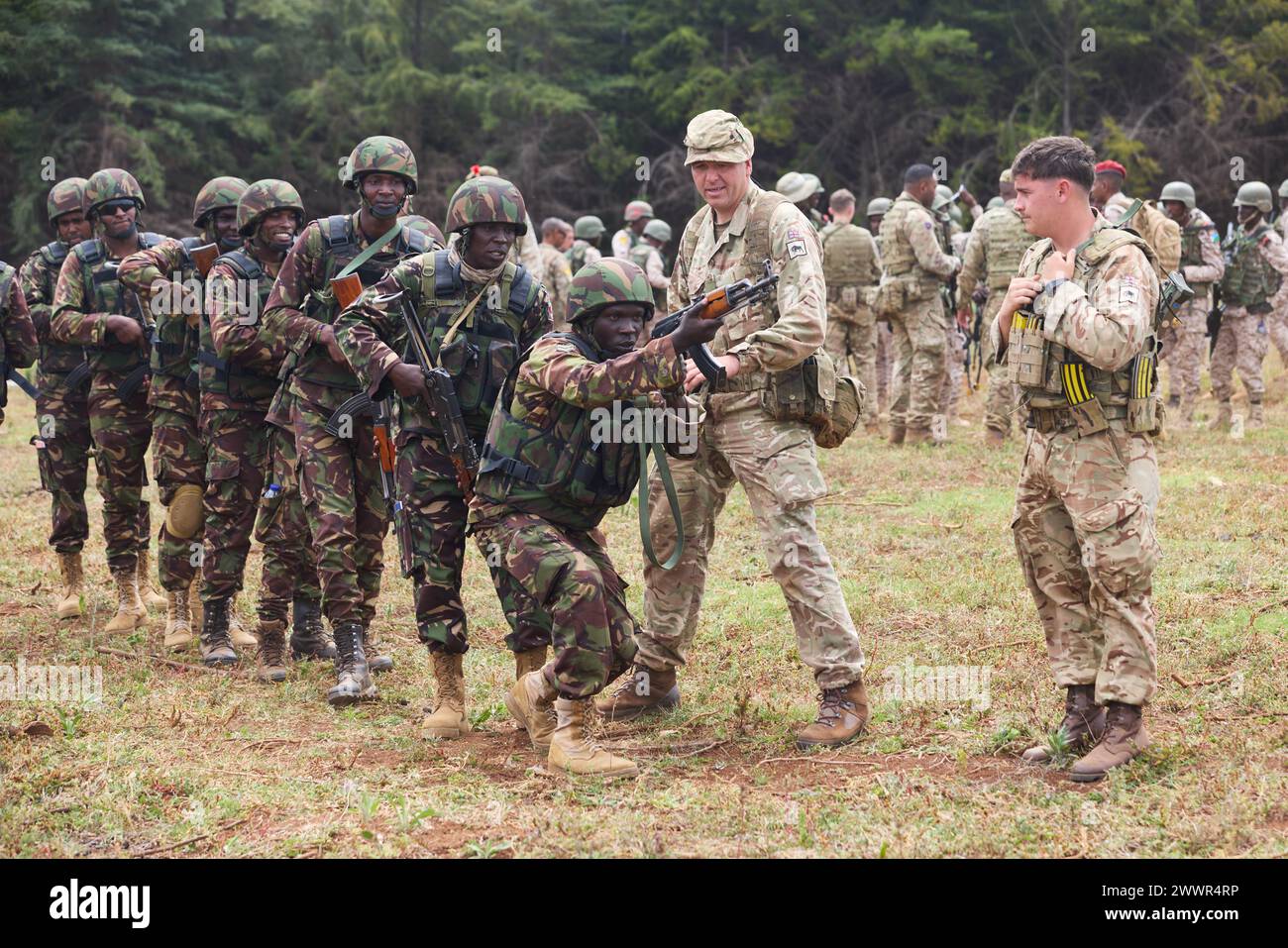 British Army soldiers from the 1st Battalion Irish Guards, 11th Security Force Brigade, instruct military members of the Kenya Defence Forces on urban combat operations during Justified Accord 2024 (JA24) at the Counter Insurgency Terrorism and Stability Operations Training Centre in Nanyuki, Kenya, February 26, 2024. JA24 is U.S. Africa Command's largest exercise in East Africa, running from February 26 - March 7. Led by U.S. Army Southern European Task Force, Africa (SETAF-AF), and hosted in Kenya, this year's exercise will incorporate personnel and units from 23 nations. This multinational Stock Photo