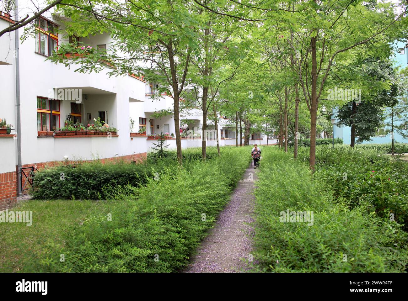 A footpath through the lavishly landscaped surroundings of a 1920s Berlin housing estate designed by Bruno Taut. Stock Photo