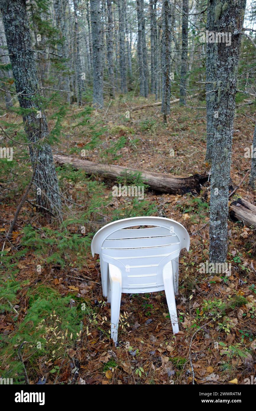 a chair in the forest Stock Photo