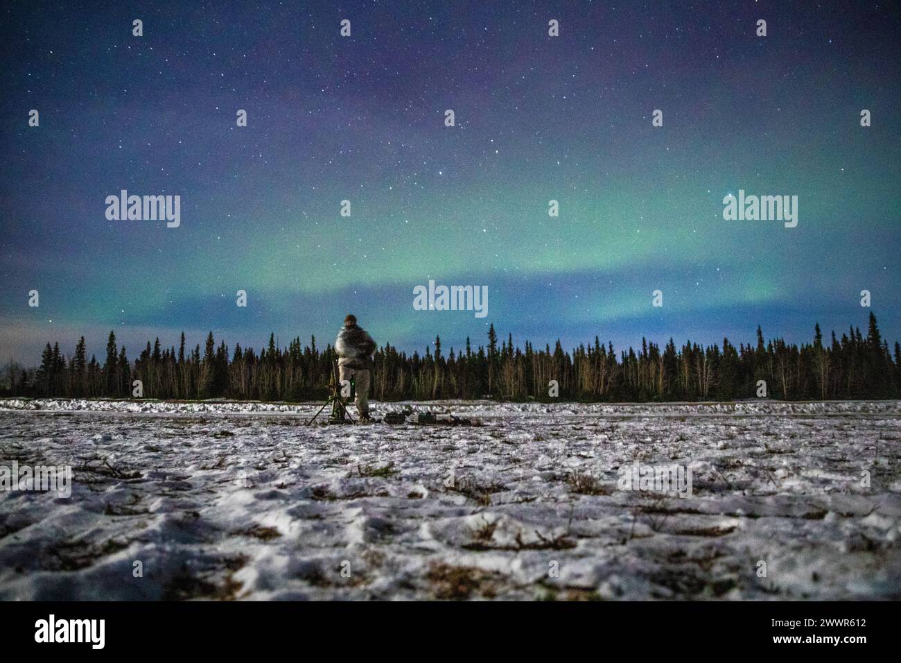 The northern lights appear above a U.S. Soldier, attached to 1st Battalion, 5th Infantry Regiment, 1st Infantry Brigade Combat Team, 11th Airborne Division, during Joint Pacific Multinational Readiness Center 24-02 at Donnelly Training Area, Alaska, Feb. 15, 2024. The soldier stood by on security while part of his team gathered the equipment necessary for a one-kilometer troop movement. The Arctic is unforgiving and requires deliberate, purposeful leaders who are meticulous in their planning and approach to warfighting, and JPMRC 24-02 is key to testing some of the best leaders and soldiers th Stock Photo