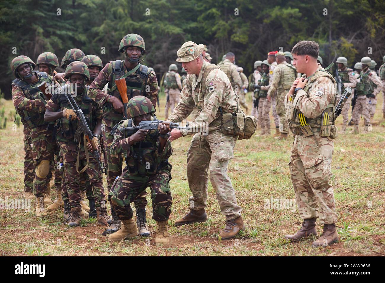 British Army soldiers from the 1st Battalion Irish Guards, part of the 11th Security Force Brigade, instruct military members of the Kenya Defence Forces on urban combat operations during Justified Accord 2024 (JA24) at the Counter Insurgency Terrorism and Stability Operations Training Centre in Nanyuki, Kenya, February 26, 2024. JA24 is U.S. Africa Command's largest exercise in East Africa, running from February 26 - March 7. Led by U.S. Army Southern European Task Force, Africa (SETAF-AF), and hosted in Kenya, this year's exercise will incorporate personnel and units from 23 nations. This mu Stock Photo