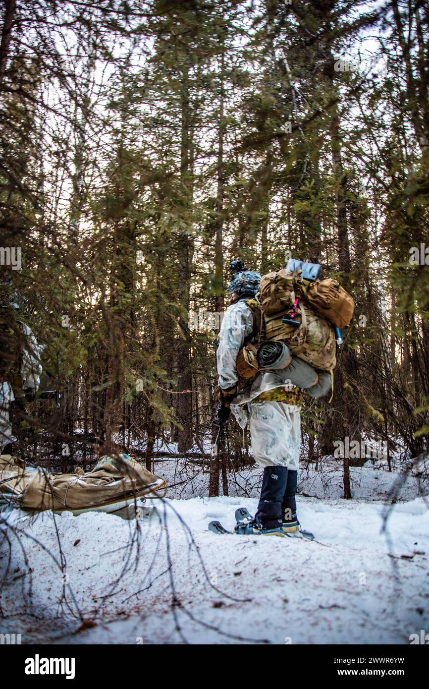 A U.S. Soldier, assigned to 1st Battalion, 5th Infantry Regiment, 1st Infantry Brigade Combat Team, 11th Airborne Division, stands by in a forest during Joint Pacific Multinational Readiness Center 24-02 at Donnelly Training Area, Alaska, Feb. 17, 2024. JPMRC 24-02 is held in the coldest part of the Alaskan winter, exposing roughly 10,000 joint, multi-national service members to unforgiving conditions, transferring the division’s expertise in the Arctic in support of the Army, the DoD and the Nation’s Arctic and Defense Strategies.  Army Stock Photo