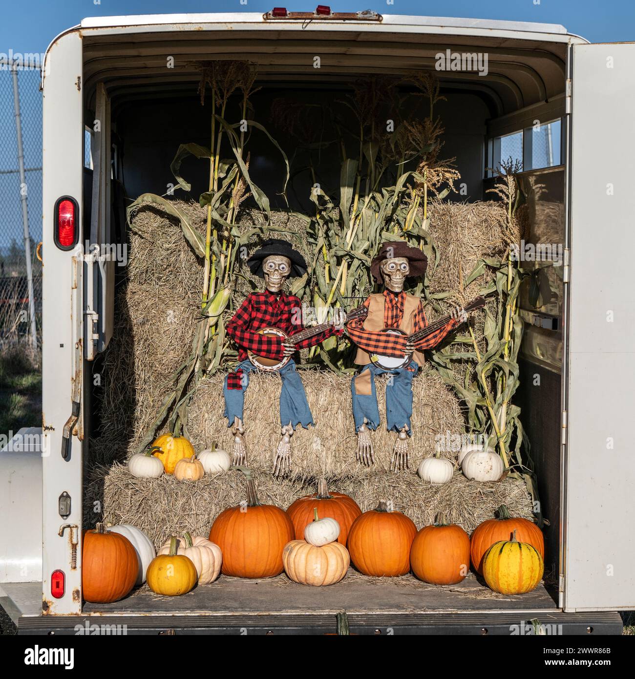 Two clothed skeletons on hale bales in the back of a truck, Bickford Farms, Vancouver Island, British Columbia, Canada Stock Photo