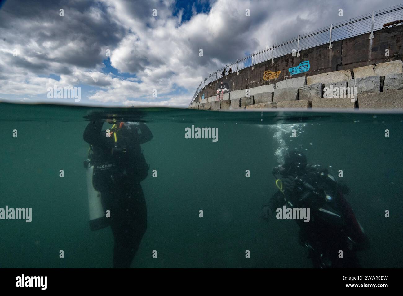 Underwater view of  scuba divers in the ocean, Ogden Point, Vancouver Island, Victoria, British Columbia, Canada Stock Photo