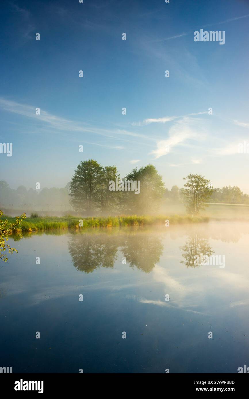 A Group of trees is reflected in the crystal clear blue water Stock ...