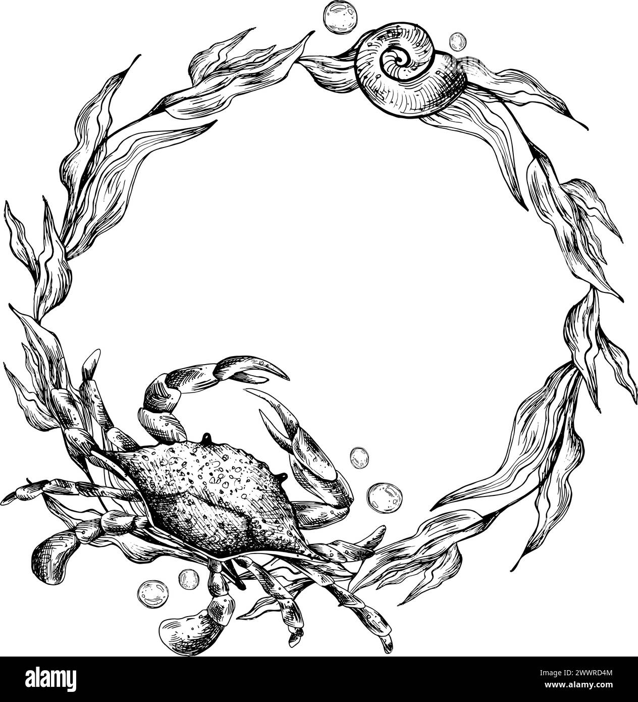 Underwater world clipart with sea animals crab, starfish and algae. Graphic illustration hand drawn in black ink. Circle wreath, frame EPS vector. Stock Vector