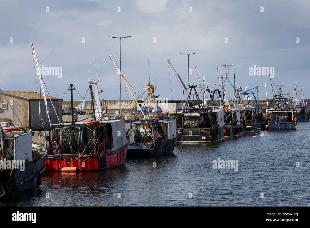 24 March 2024. Burghead Harbour,Burghead,Moray,Scotland. This is the Burghead Fishing Boats all berthed at the pier on a Sunday afternoon. Stock Photo