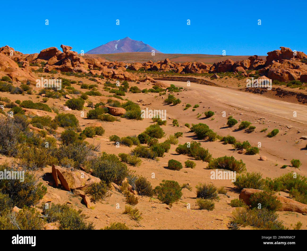 Landscape of Altiplano with rocks, white lagoon and peaks. Sunny clear ...