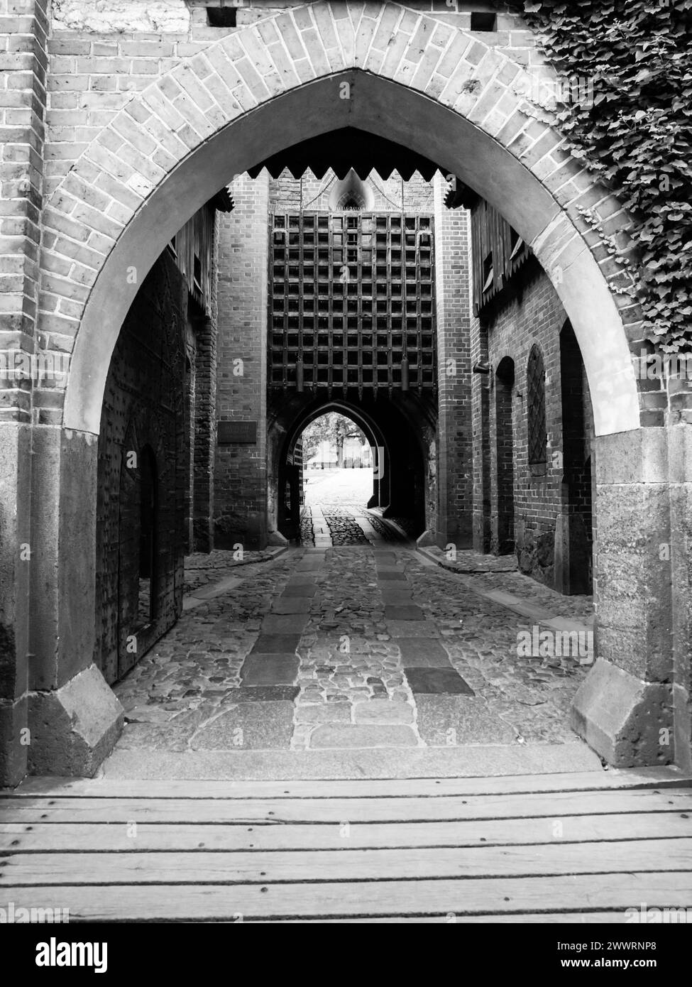Medieval castle gate with iron bars. Black and white image. Stock Photo