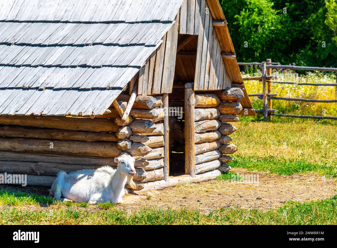 Wooden goat shed hi-res stock photography and images - Alamy
