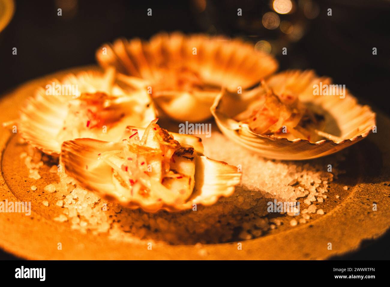 Banquet cuisine lobster seafood hi-res stock photography and images - Alamy