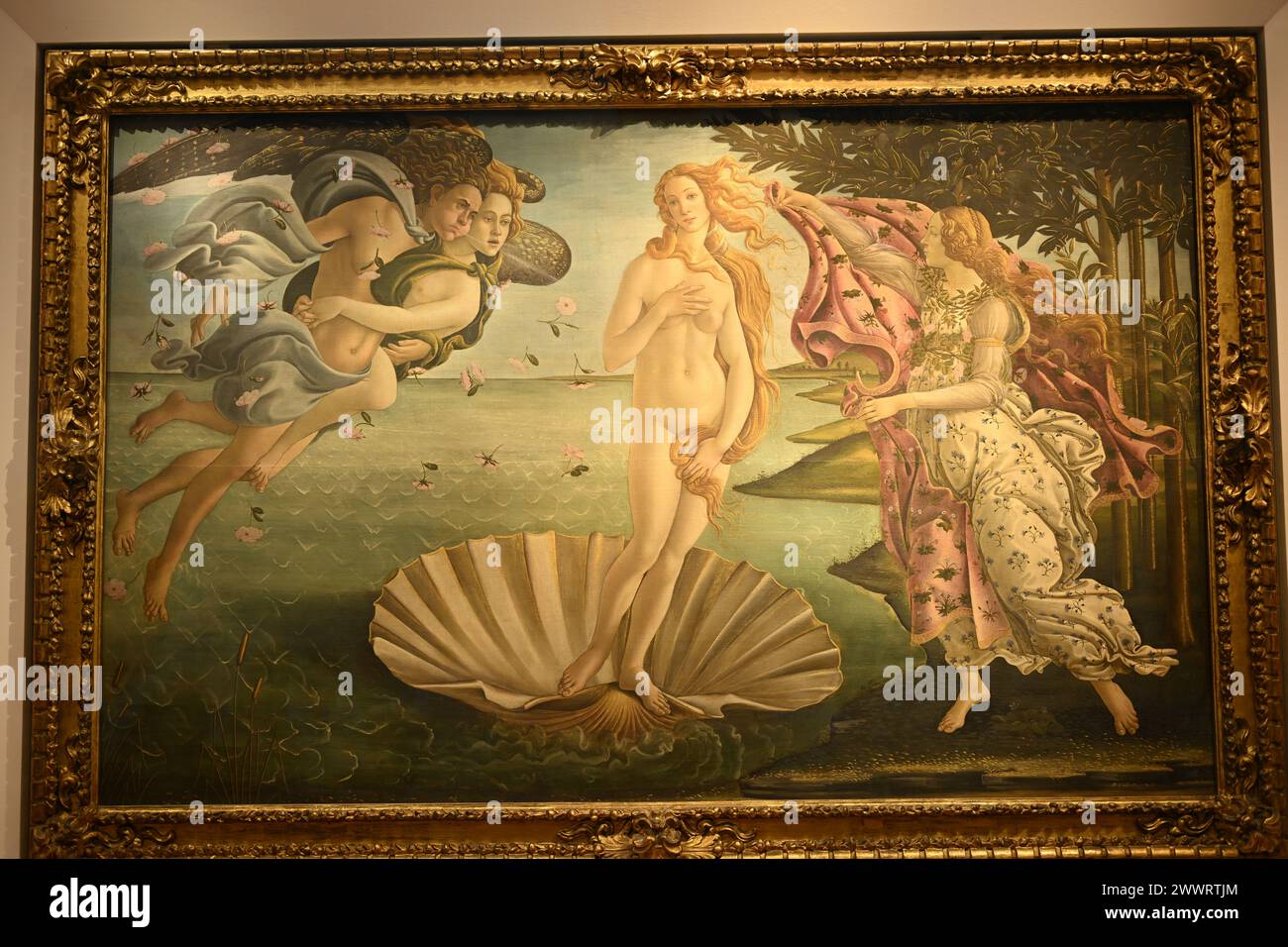 The birth of Venus  Uffizi Musei Firenze Firenze or Florence, Tuscany Italy Stock Photo