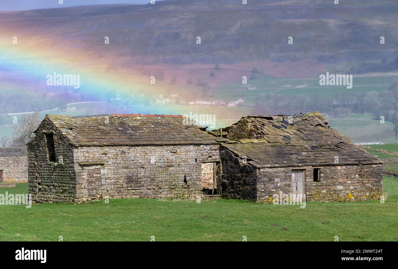 Derelict old barn near Hawes, Wensleydale, with a rainbow over it. The barns are part of the heritage of the Dales but many are falling down now as th Stock Photo
