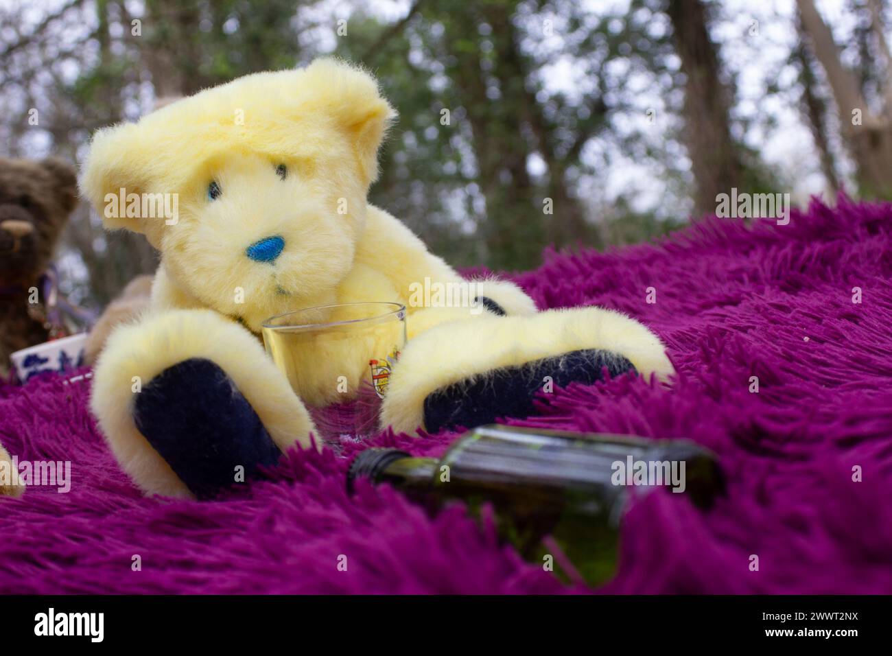 A solitary handmade yellow furry teddy bear sitting on a purple rug with an empty bottle in front of him and looking the worst for wear Stock Photo