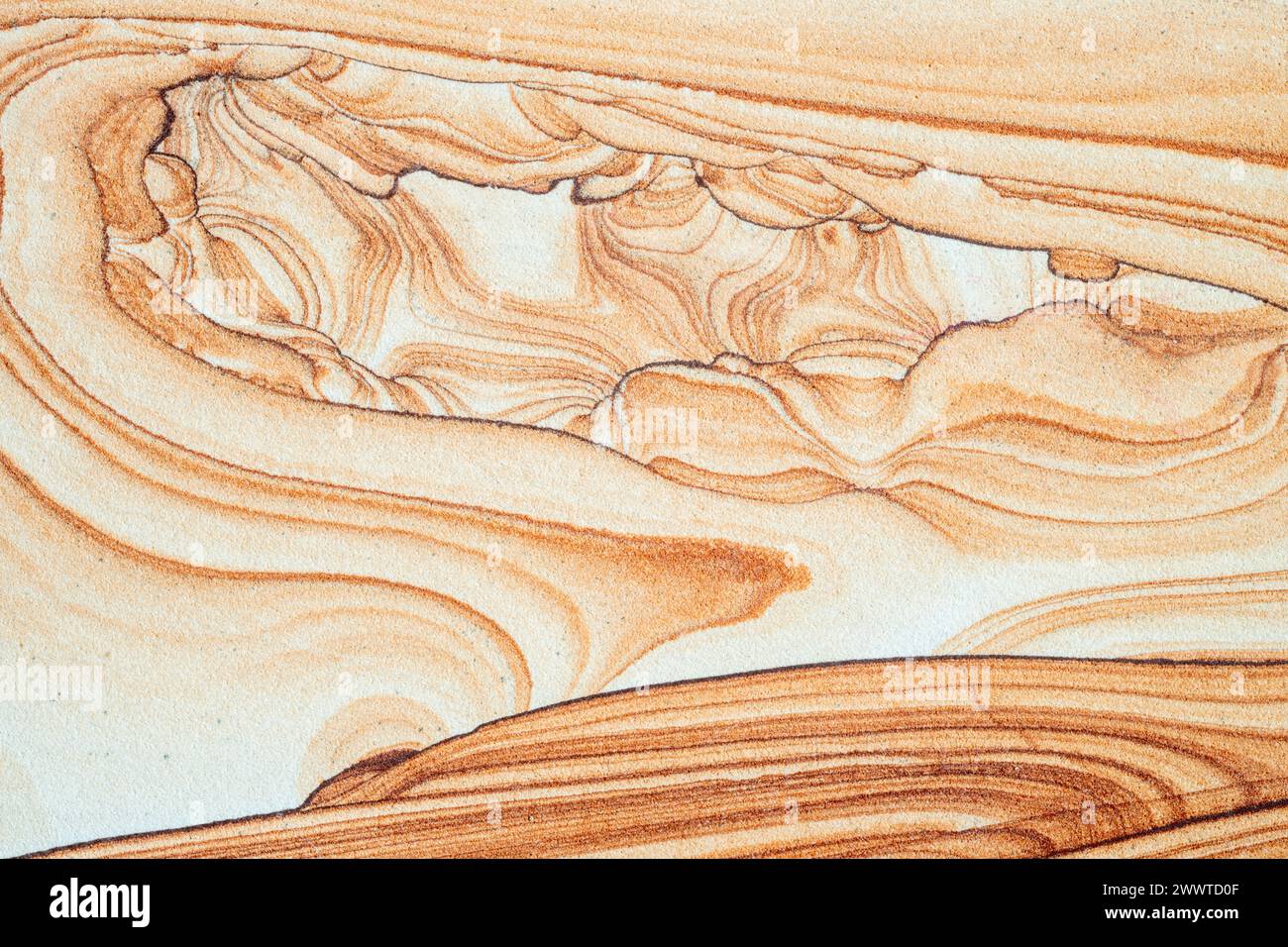 Close view of Arizona sandstone. Jerome, Arizona, USA, by Dominique Braud/Dembinsky Photo Assoc Stock Photo