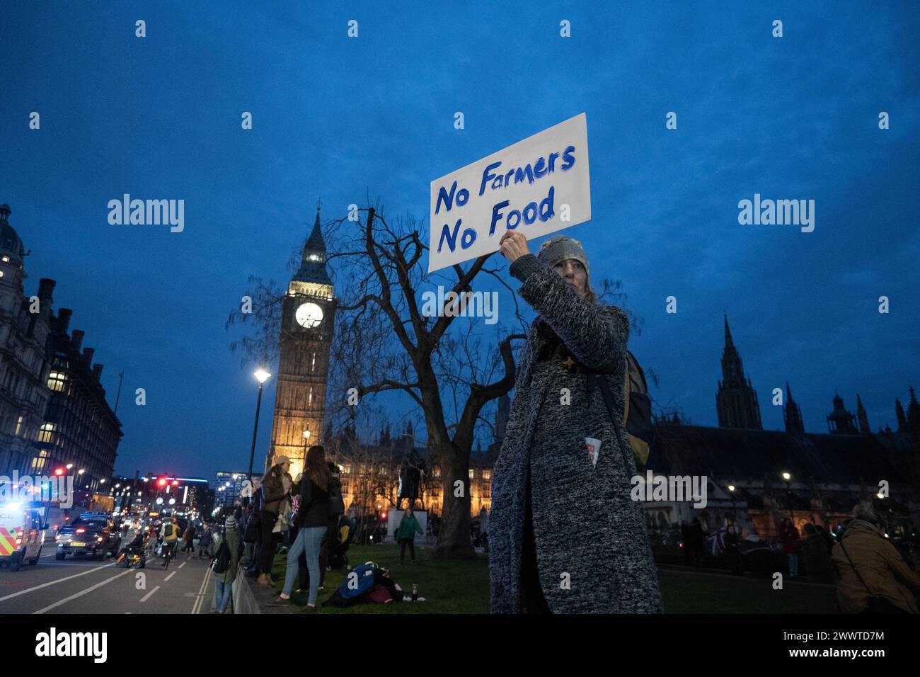 London, England. 25th March, 2024. British farmers taking part in a demonstration about farmers’ dissatisfaction with UK food policy, substandard impo Stock Photo