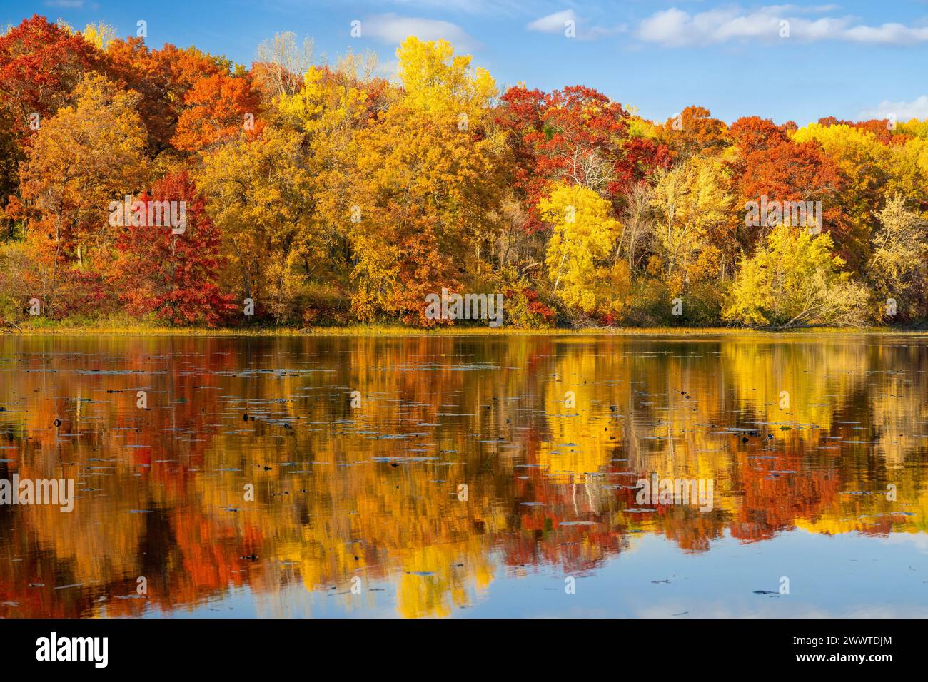 Autumn, Jensen Lake. Lebanon Hills Park, Minnesota., USA, by Dominique Braud/Dembinsky Photo Assoc Stock Photo