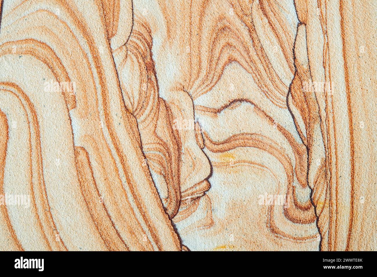 Close view of Arizona sandstone. Jerome, Arizona, USA, by Dominique Braud/Dembinsky Photo Assoc Stock Photo