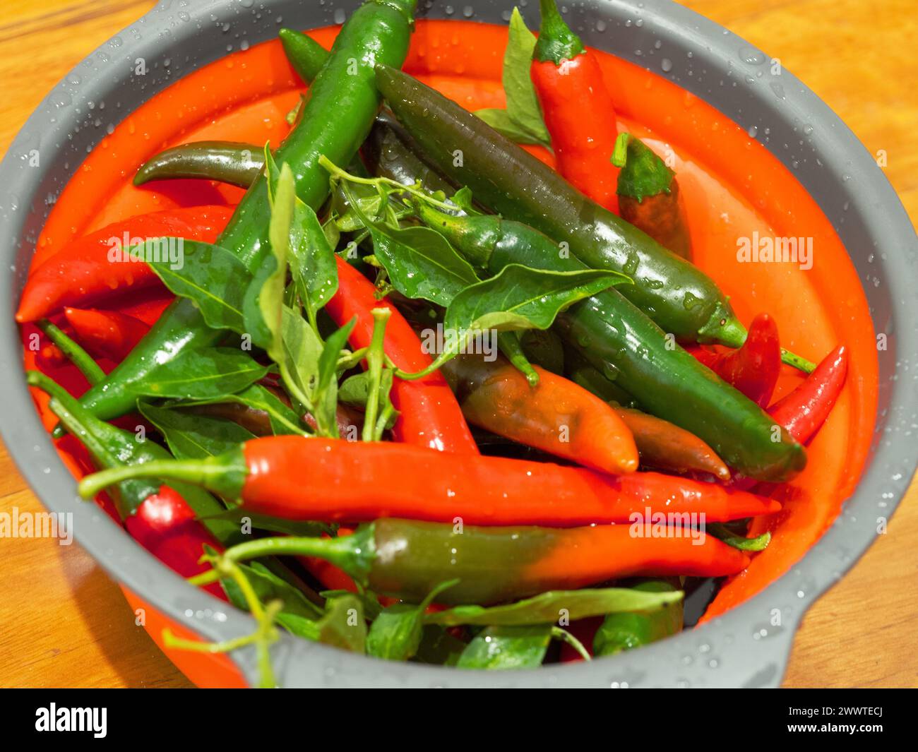 Red and Green Chiili Fruits in a bowl, food homegrown from a kitchen garden Stock Photo