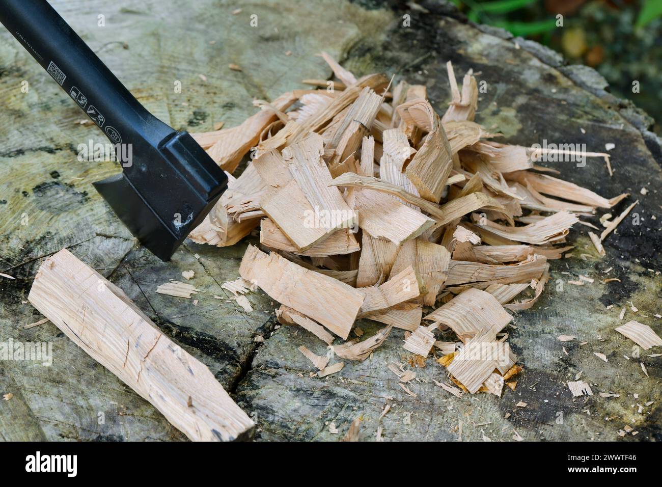 Thin dry chips are cut with an axe as kindling Stock Photo