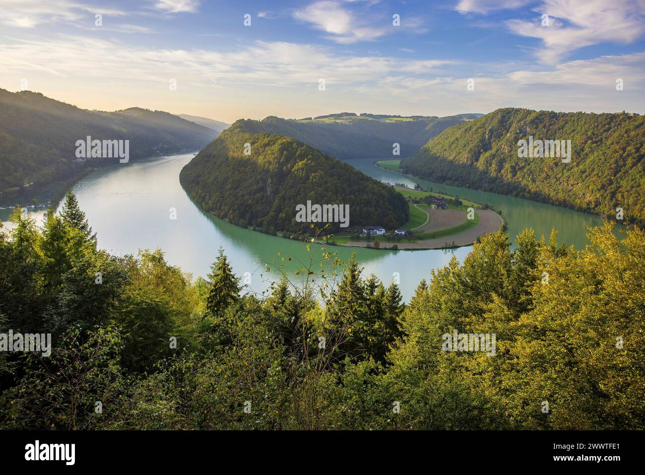 Schloegener Schlinge, river loop of Danube, Austria, Upper Austria Stock Photo