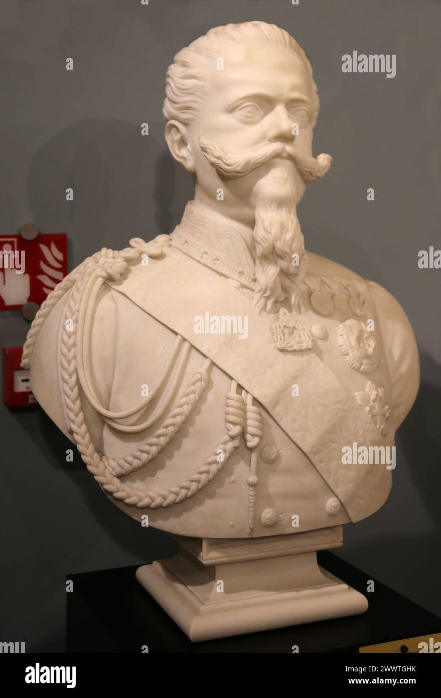 Bust of Victor Emanuele II (1820-1878). King of Sardinia and king of Italy. Marble, 1862. By T. Angelini. Stock Photo