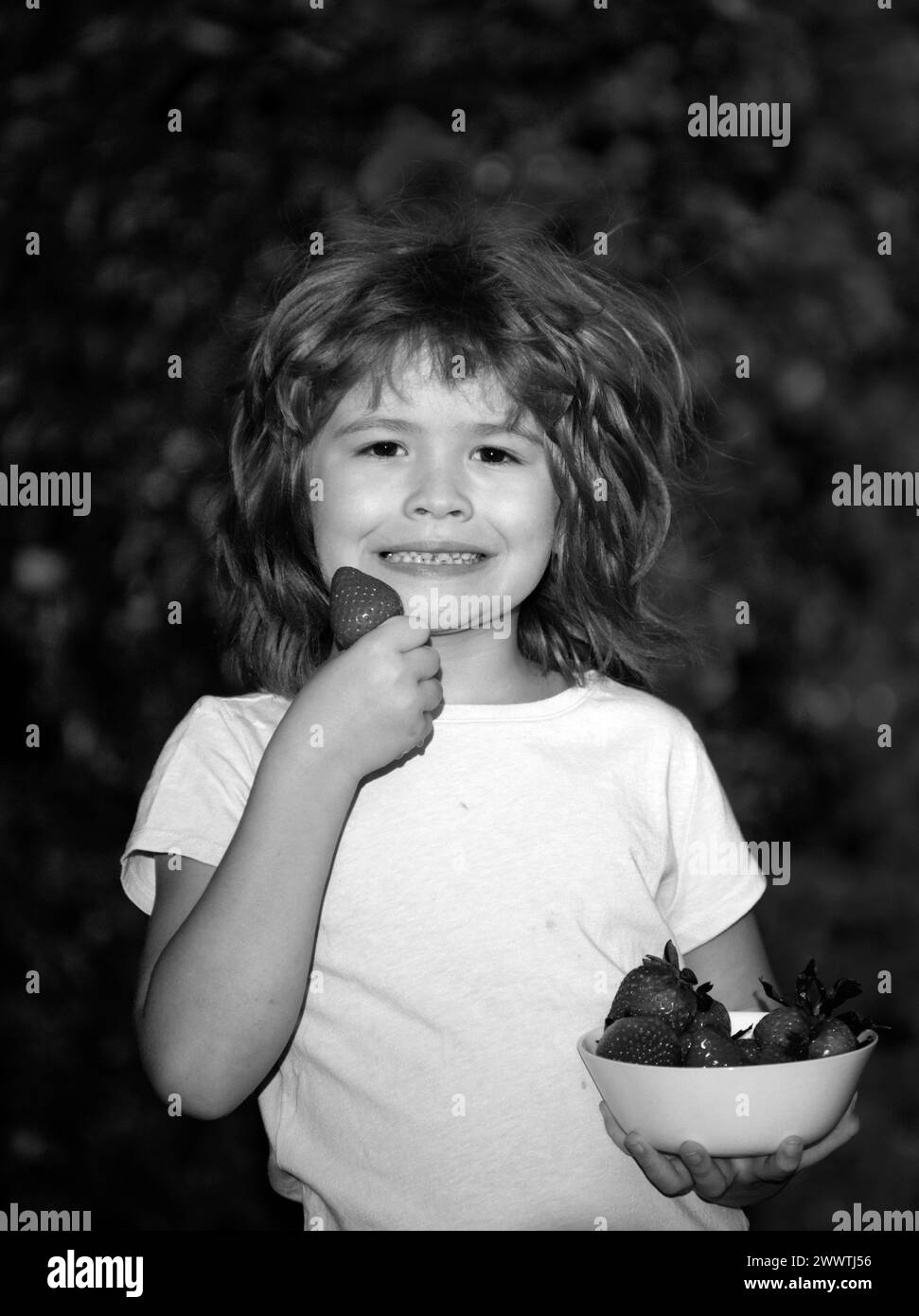 Little boy picking and eat strawberry. Child eating strawberries Stock