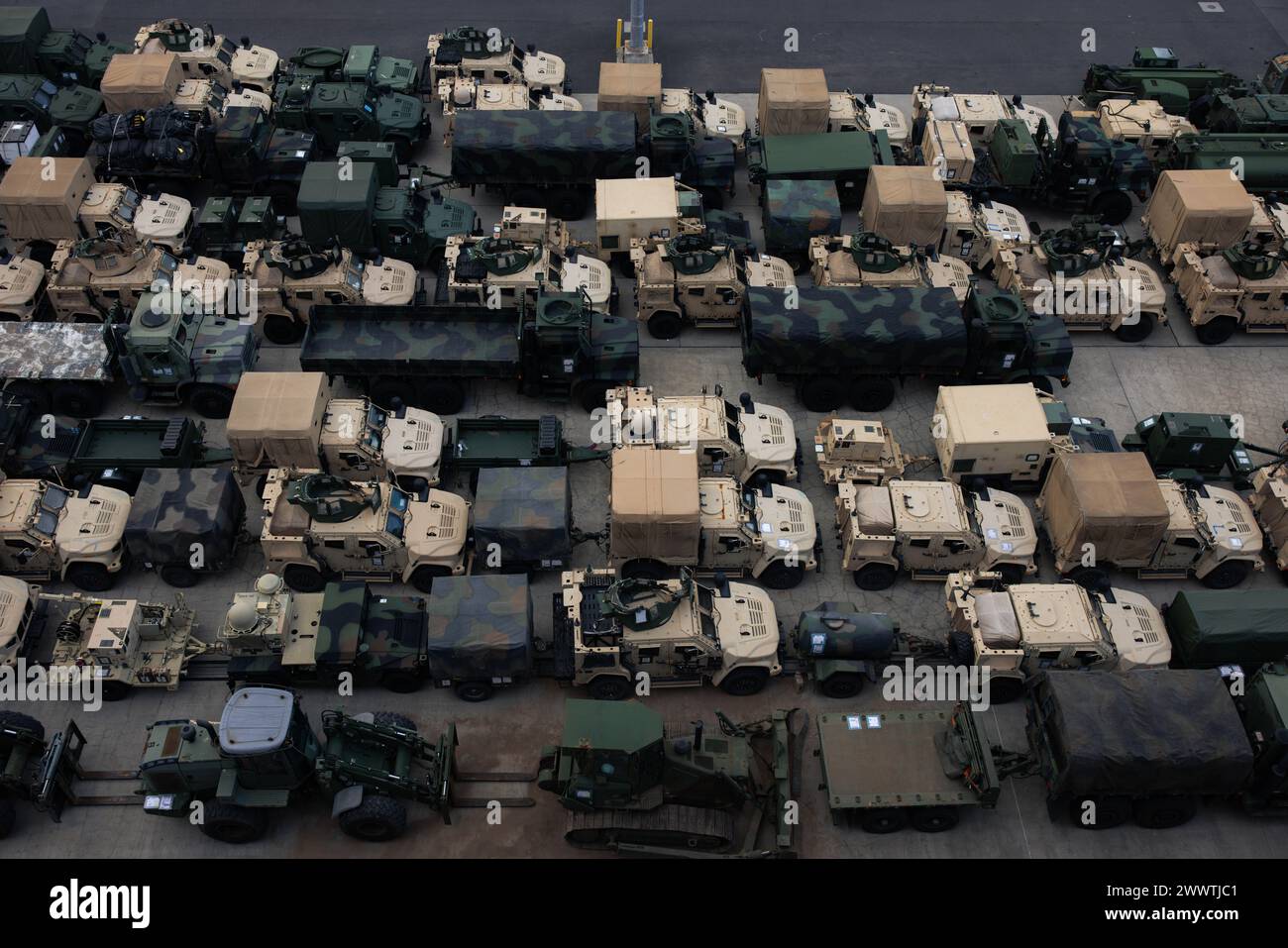 U.S. Marines with 3d Marine Littoral Regiment, 3d Marine Division