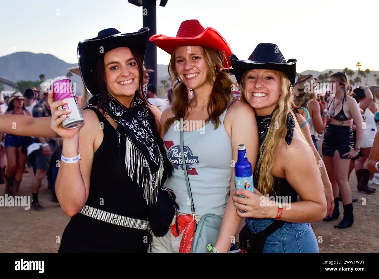 Country Music Festival Crowd Stock Photo