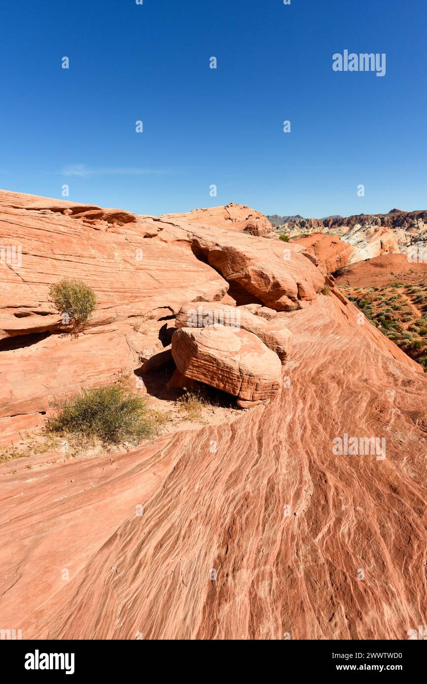 Valley Of Fire Nevada State Park Landscape in Clark County, Nevada Stock Photo