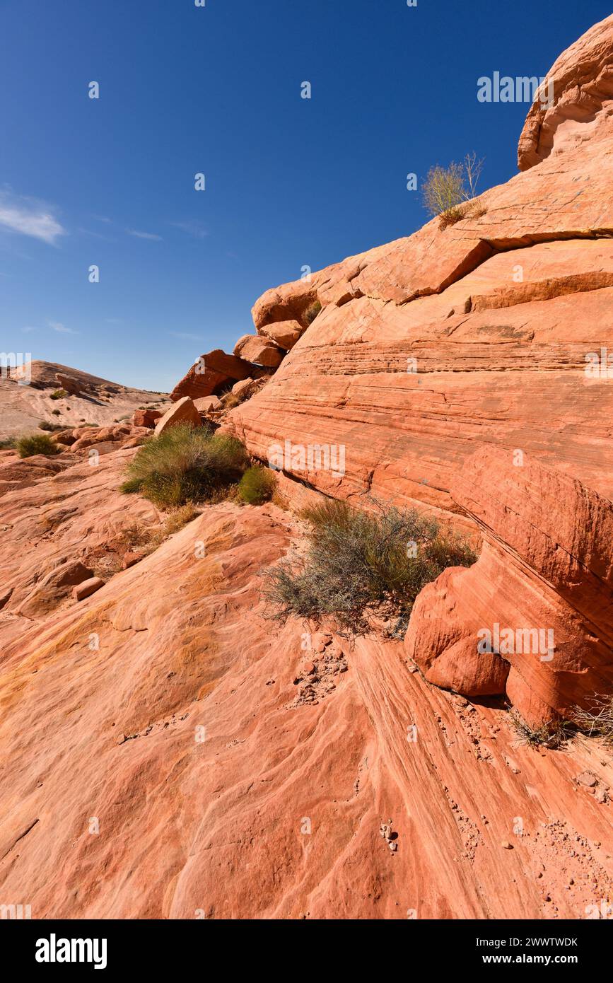 Valley Of Fire Nevada State Park Landscape in Clark County, Nevada Stock Photo
