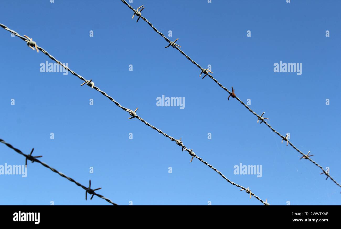 Barbed wire fence against a blue sky background Stock Photo - Alamy
