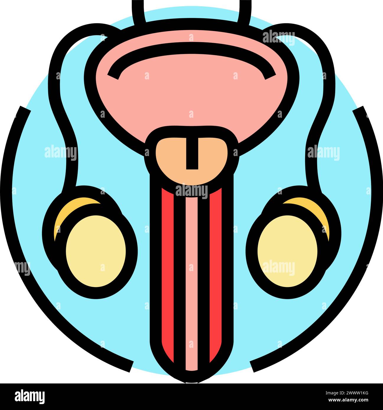 urethral stricture urology color icon vector illustration Stock Vector