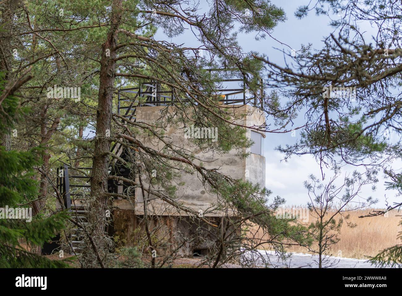 Bird observation platform on the point where the forest meet the sea. Bird watching platform on the coast of the Baltic sea. Stock Photo