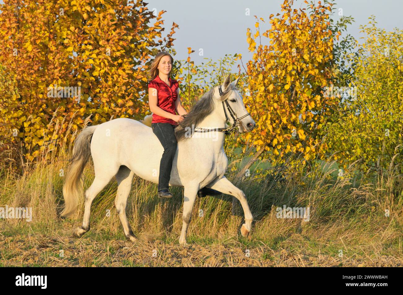 Woman girl riding bareback hi-res stock photography and images - Alamy
