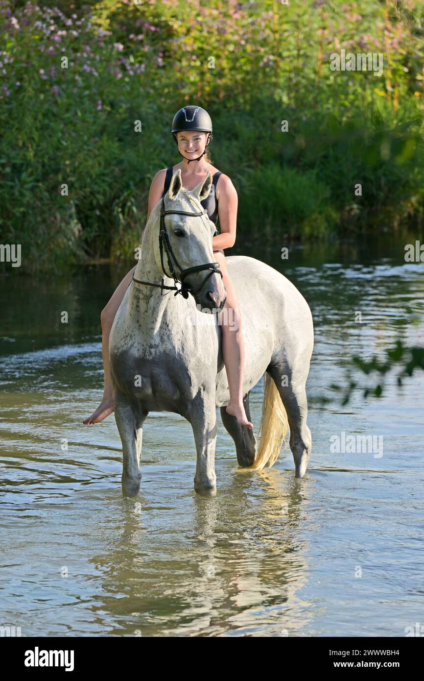 Rider on back of a Polish horse in a brook Stock Photo - Alamy