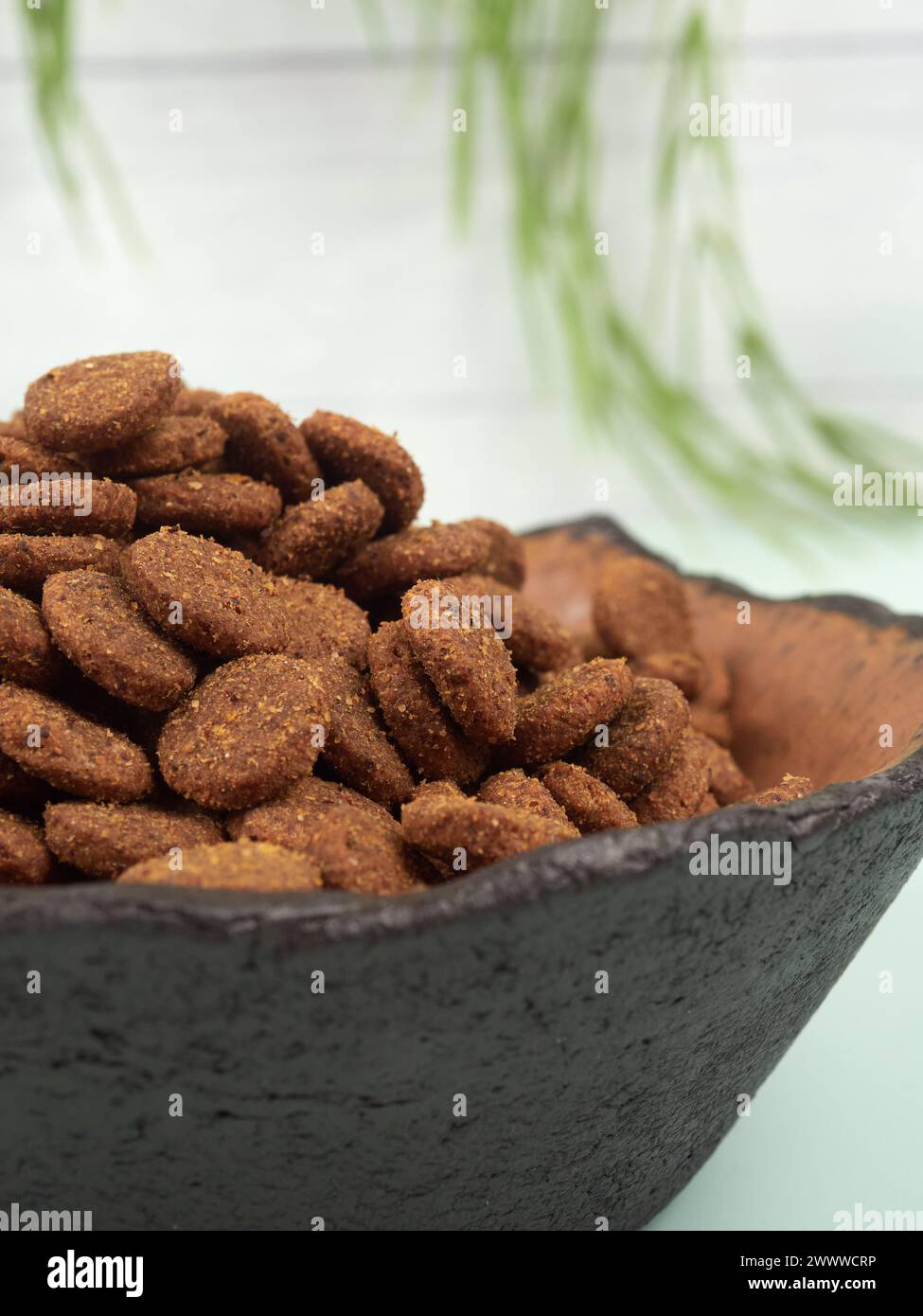 A bowl of dry kibble dog food, on light green background Stock Photo