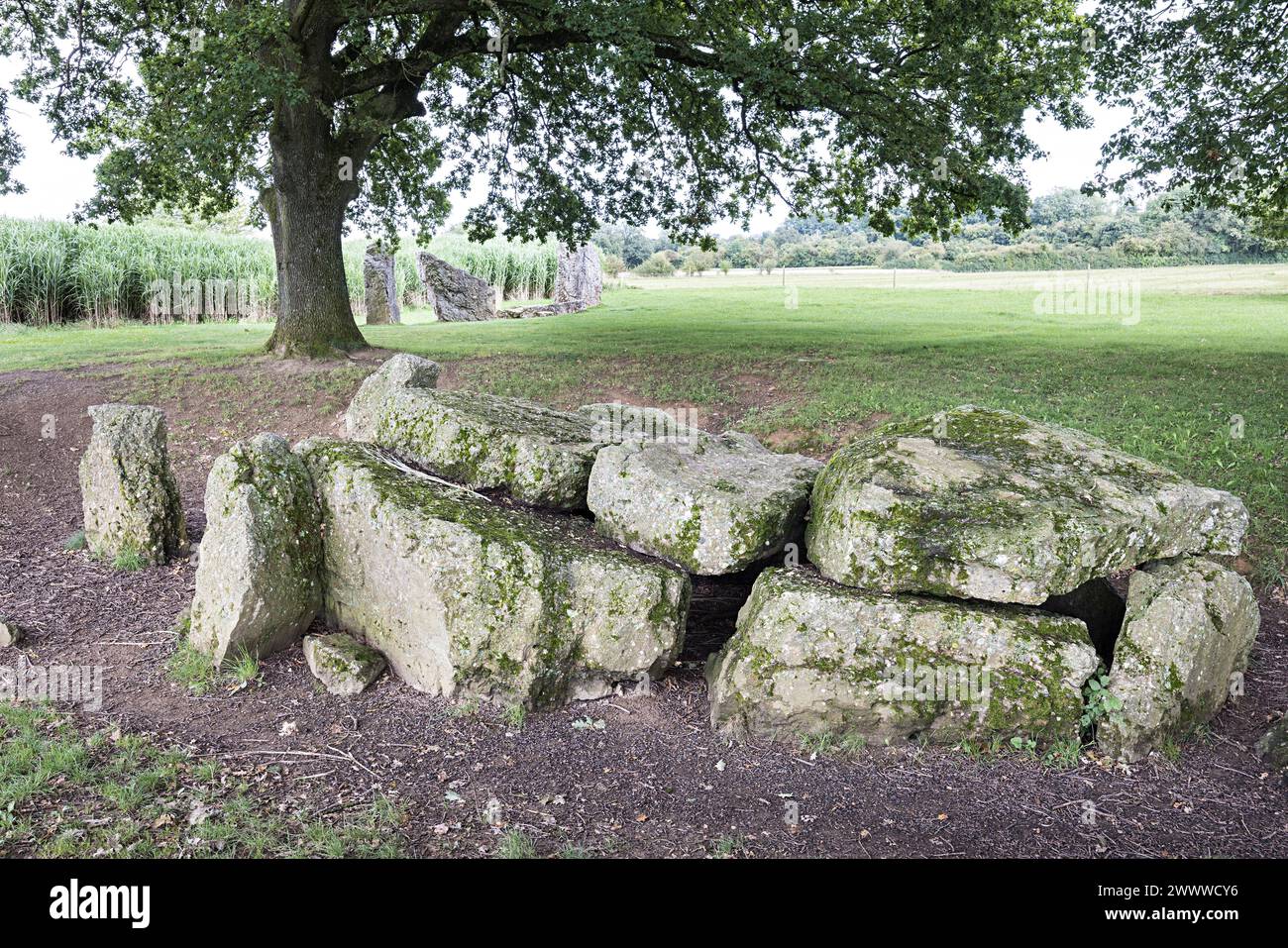 Megaliths, the dolmen of Oppagne or Southern Dolmen, Dolmen sud Oppagne, Weris, Belgium Stock Photo