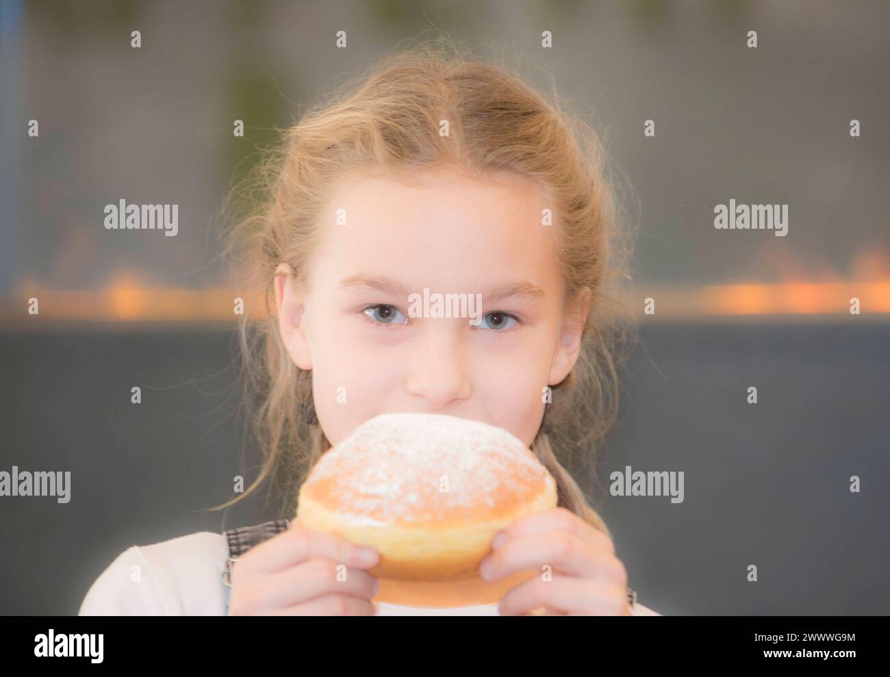 Traditional german doughnut with powder sugar, also called Berliner or ...