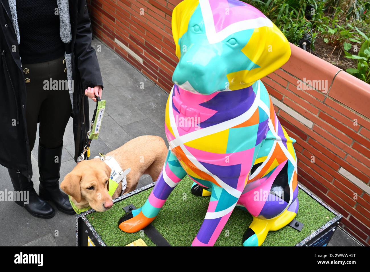 EDITORIAL USE ONLY Guide dog Theia, with one of 25 artist-designed dog ...