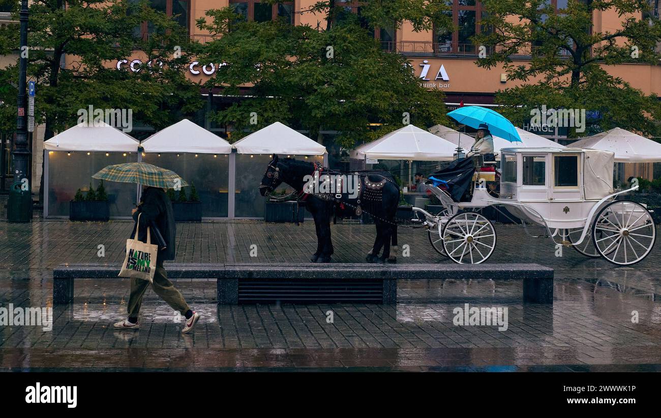 Horse-drawn carriages on the Market Square at a rainy day. Krakow, Poland.. Editorial photo. Stock Photo