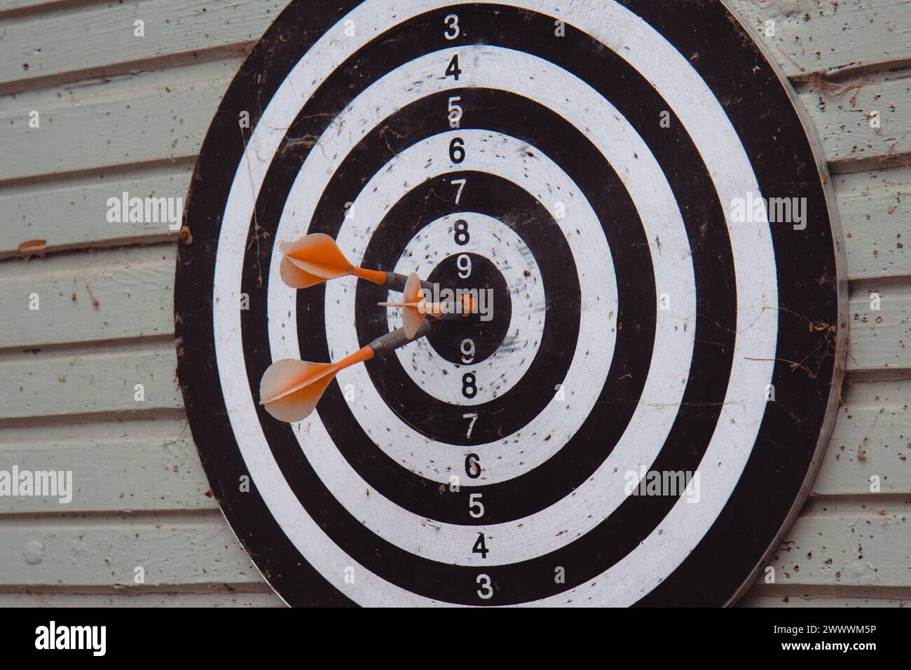 Close up shot red darts arrows in the target center on grey background. Business target or goal success and winner concept. Stock Photo