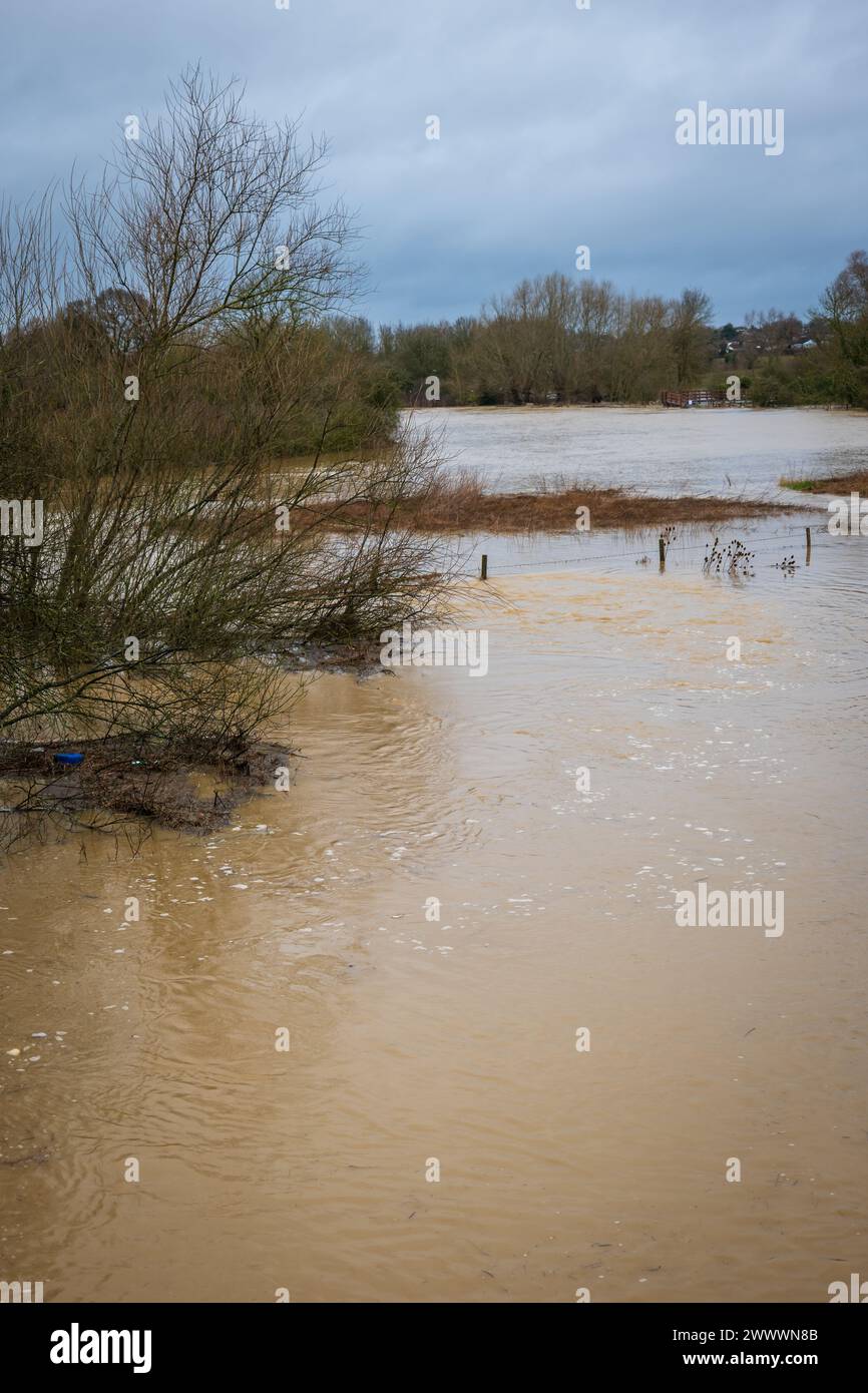 Nene river flooding during heavy rains in Northampton England UK Stock ...