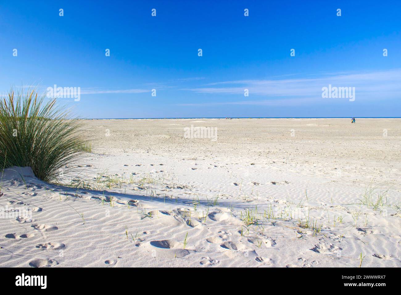 Sand Beach Renesse Zeeland The Netherlands Stock Photo Alamy