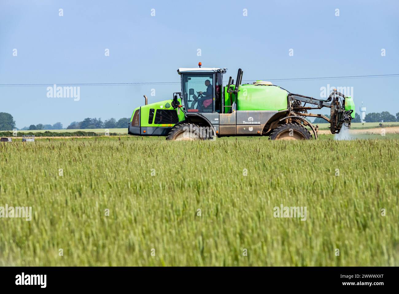 Fungicide treatment sprayed on a wheat field with a Tecnoma self-propelled crop duster, presence of foxtail grass and ryegrass. Tocqueville-en-Caux (n Stock Photo