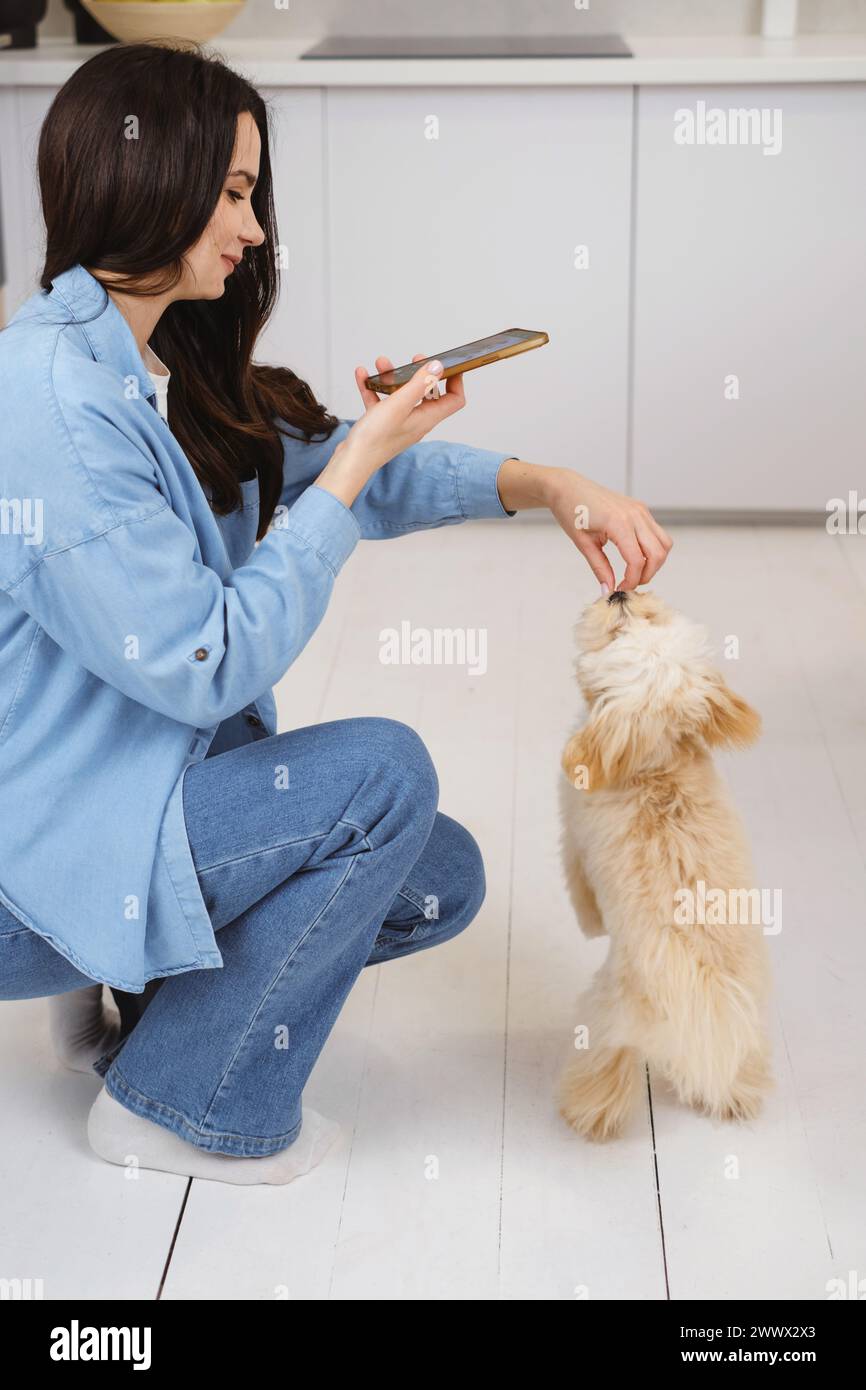 Woman taking picture of dog by cell phone in a candid moment. Feeding puppy maltipoo Stock Photo